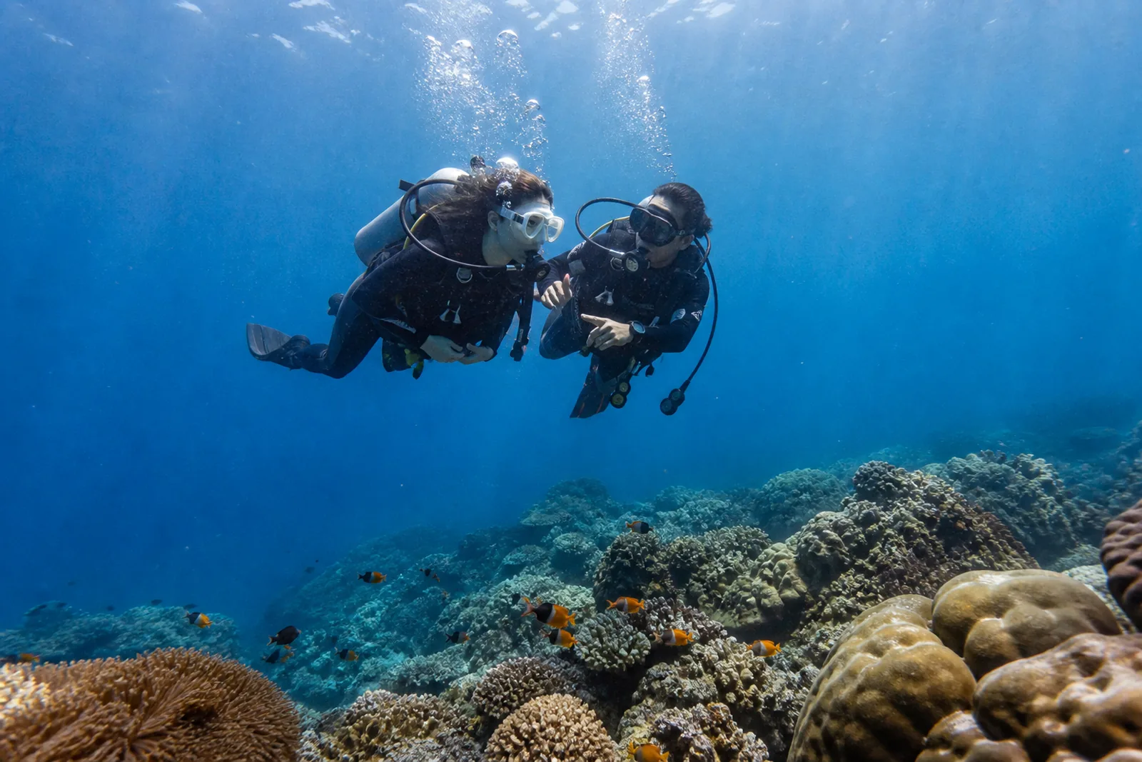 Diving and Discover Scuba
